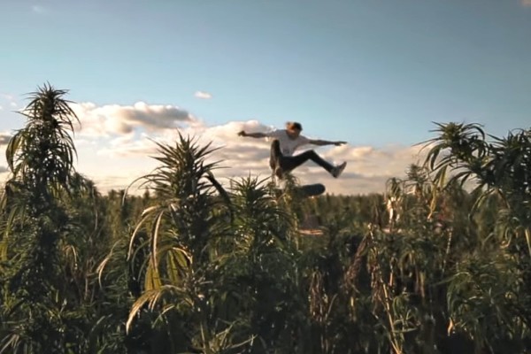 Happy 420 - Skateboarding & Weed?! | skatedeluxe Blog